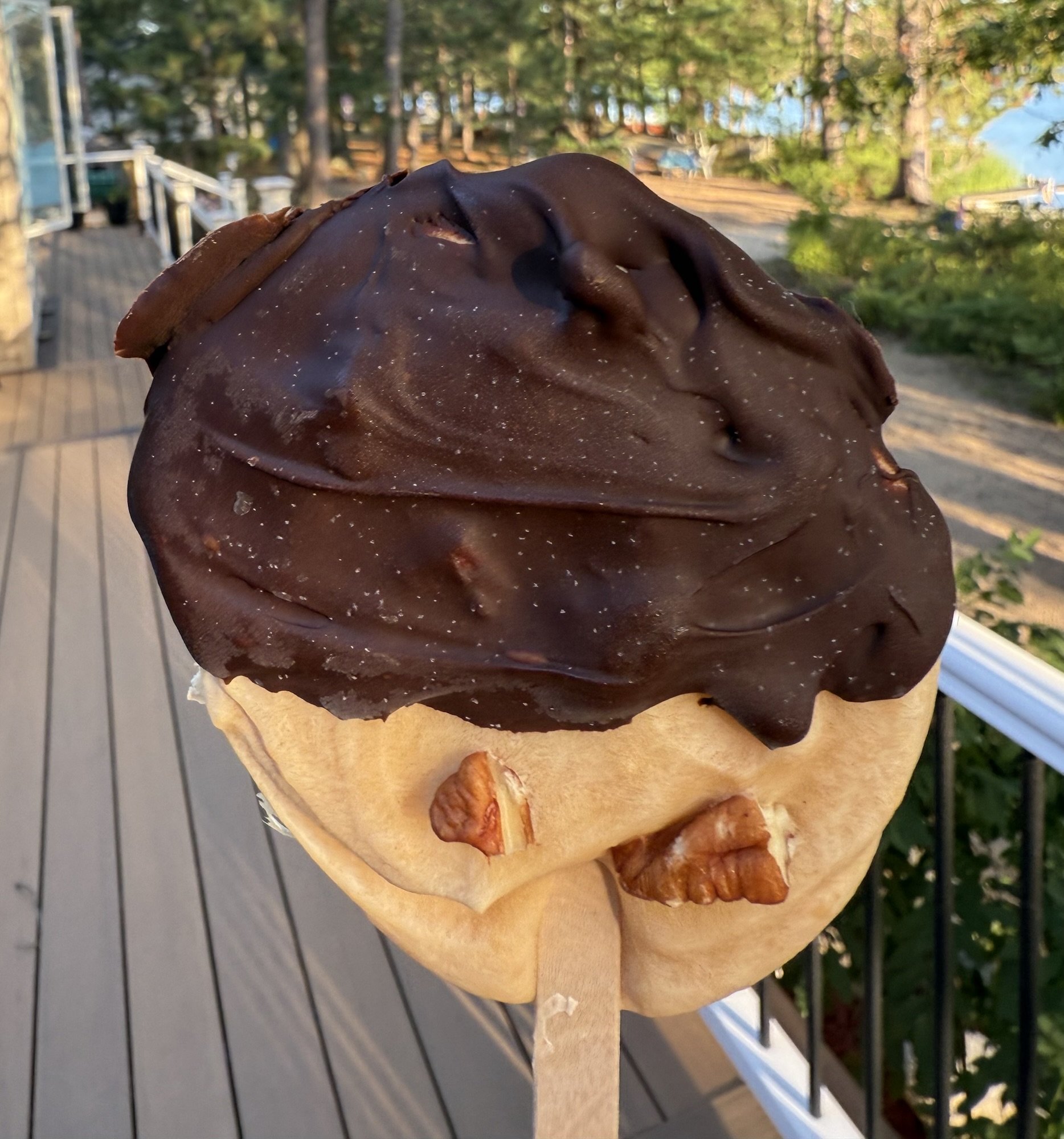 Protein Ice Cream Bars